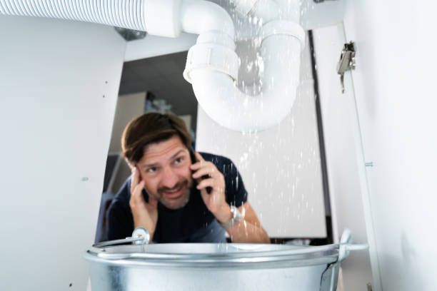 Best Pipe Repair Near Me  in Murphy, MO